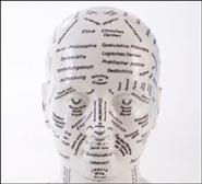 Physiognomie Kopf mit Bereichen